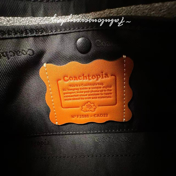 Coach Alter/Ego Small Slouchy Shoulder Bag In Checkerboard Leather CAO22 NWT - Picture 11 of 11